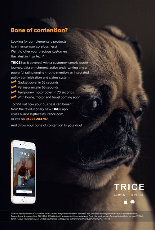 Trice Advert